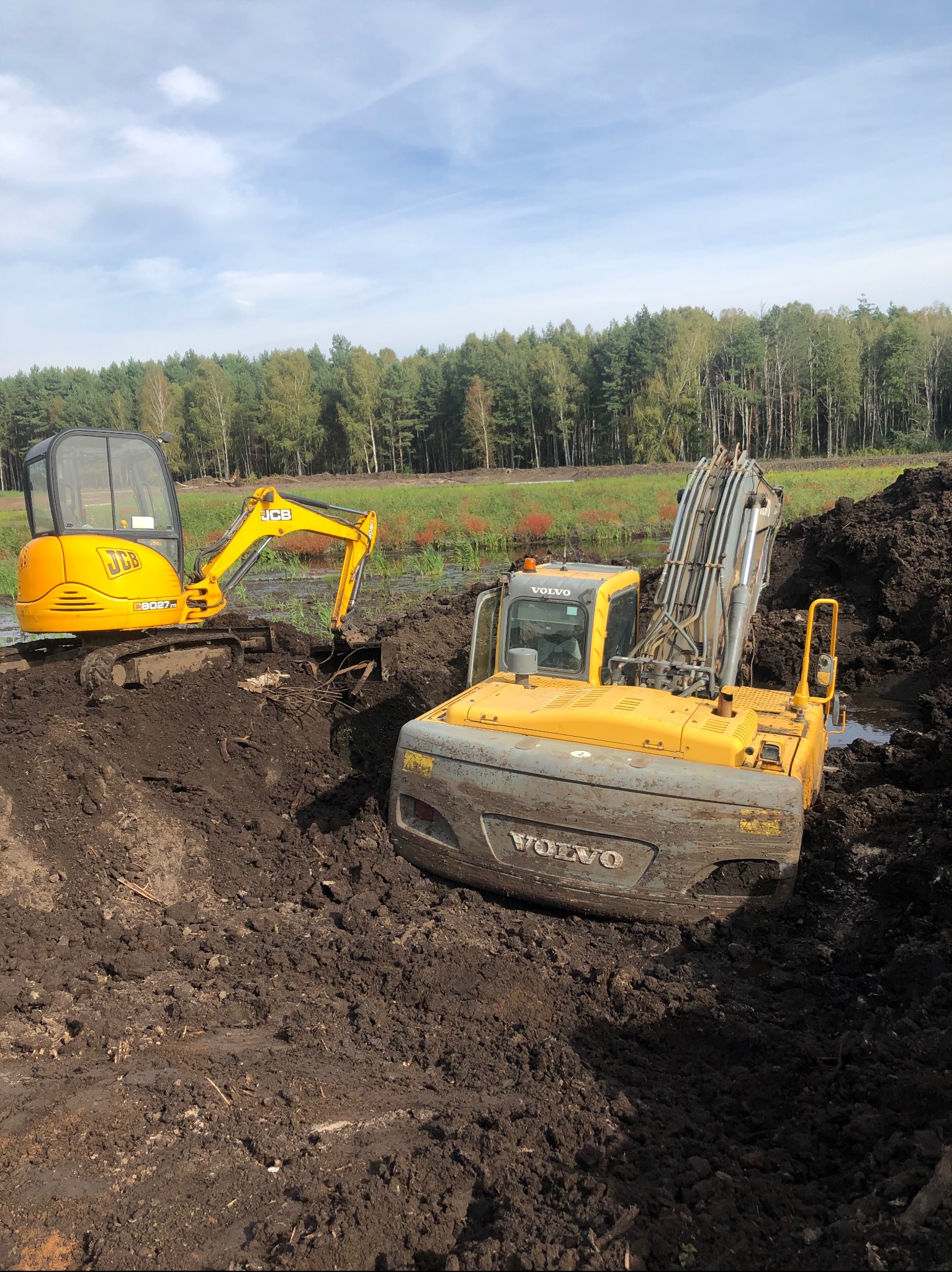 Dwie żółte koparki: mniejsza JCB 8027 z przodu i większa Volvo z tyłu, pracują w błotnistym wykopie, w tle widoczny las i fragment błękitnego nieba.