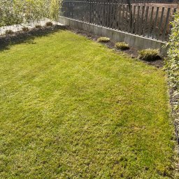 Firma - Świeżo skoszony trawnik z widocznymi śladami po koszeniu, obrzeża z nasadzeniami i metalowym ogrodzeniem w tle, w słoneczny dzień.