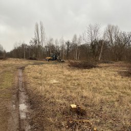 Firma - Żółta maszyna do karczowania drzew na tle brązowego pola z pniakami, widoczna błotnista droga i pochmurne niebo.