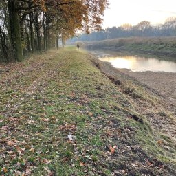 Firma - Jesienny krajobraz: Aleja drzew z opadłymi liśćmi, trawiasty brzeg rzeki i spacerująca w oddali osoba.