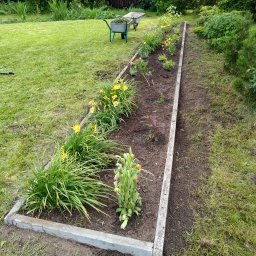 TOMASZ STARZAK GREENBI - Długi, wąski kwietnik z betonową obudową, obsadzony żółtymi liliowcami i innymi kwiatami, z dwiema taczkami w tle na trawniku.