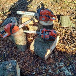 TOMASZ STARZAK GREENBI - Trzy pomarańczowe pilarki Husqvarna spoczywają na pniakach w lesie, otoczone opadłymi liśćmi i gałęziami.