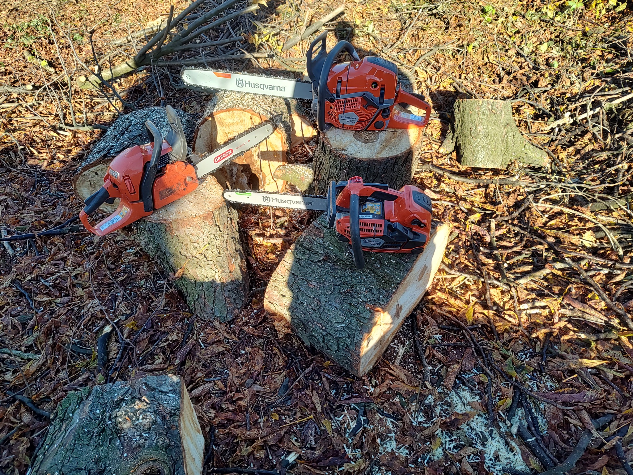 Trzy pomarańczowe pilarki Husqvarna spoczywają na pniakach w lesie, otoczone opadłymi liśćmi i gałęziami.