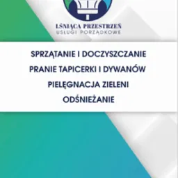 Grafika reklamowa firmy Lśniąca Przestrzeń, oferującej usługi porządkowe: sprzątanie, pranie tapicerki, pielęgnację zieleni i odśnieżanie. Bezpłatna wycena, faktury VAT.