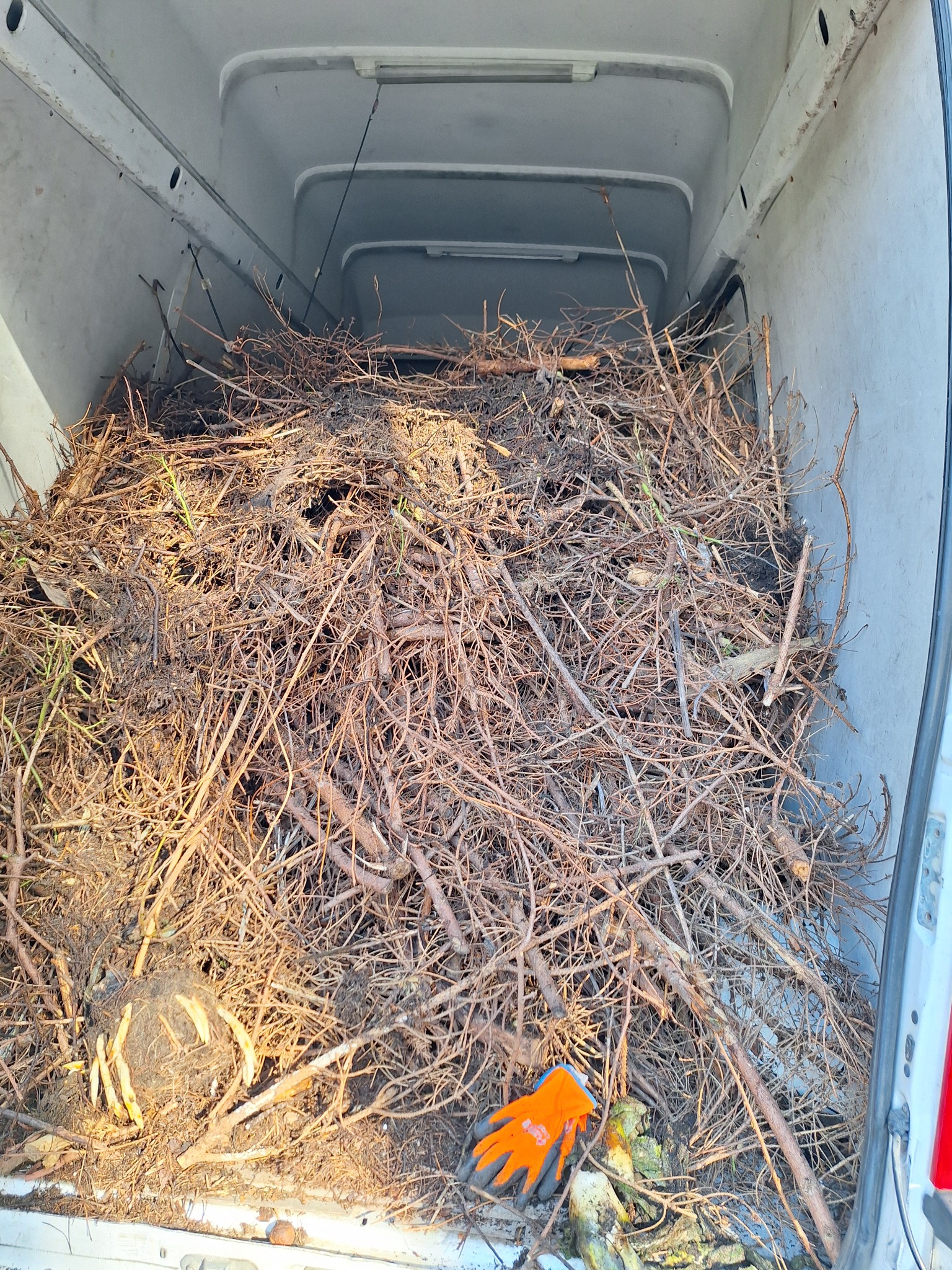 Wnętrze białego busa wypełnione po brzegi gałęziami, korzeniami i resztkami roślin, z pomarańczową rękawicą roboczą w prawym dolnym rogu.
