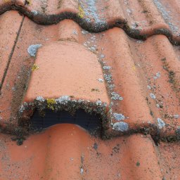 Dachówki cementowe po 16 latach, ostani moment na mycie, chemiczne odgrzybianie i impregnację hydrofobową 