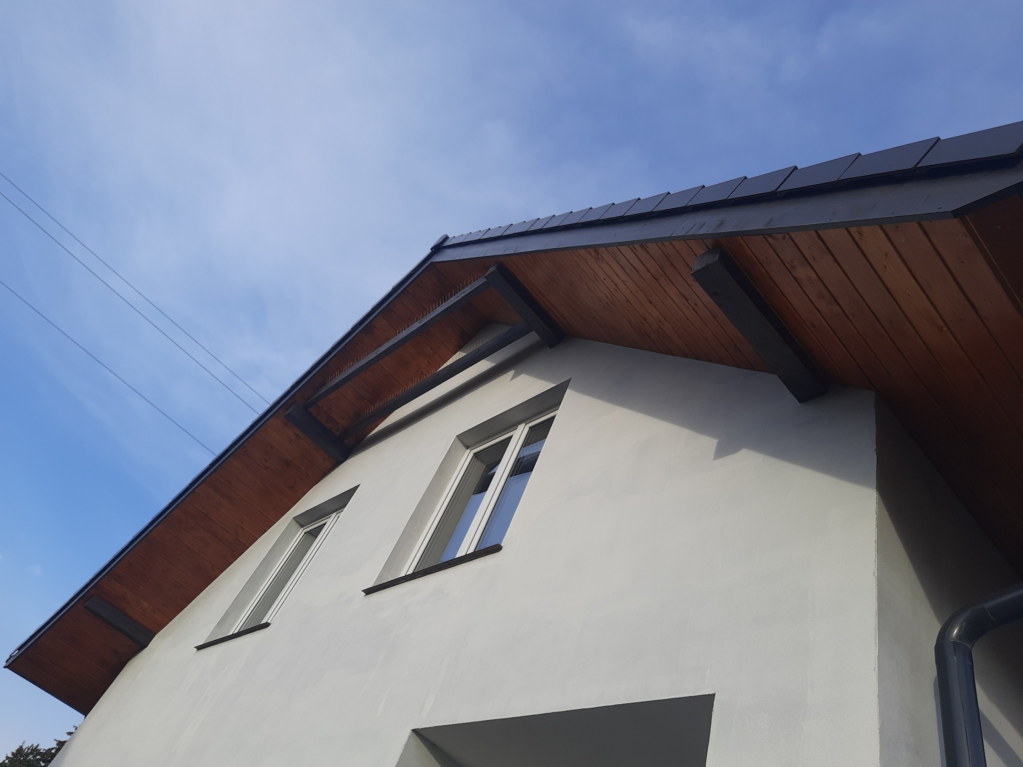 Fragment elewacji domu z widocznymi dwoma oknami, drewnianą podbitką dachową zabezpieczoną kolcami przeciw ptakom, ciemnym dachem i rynną spustową, na tle błękitnego nieba.