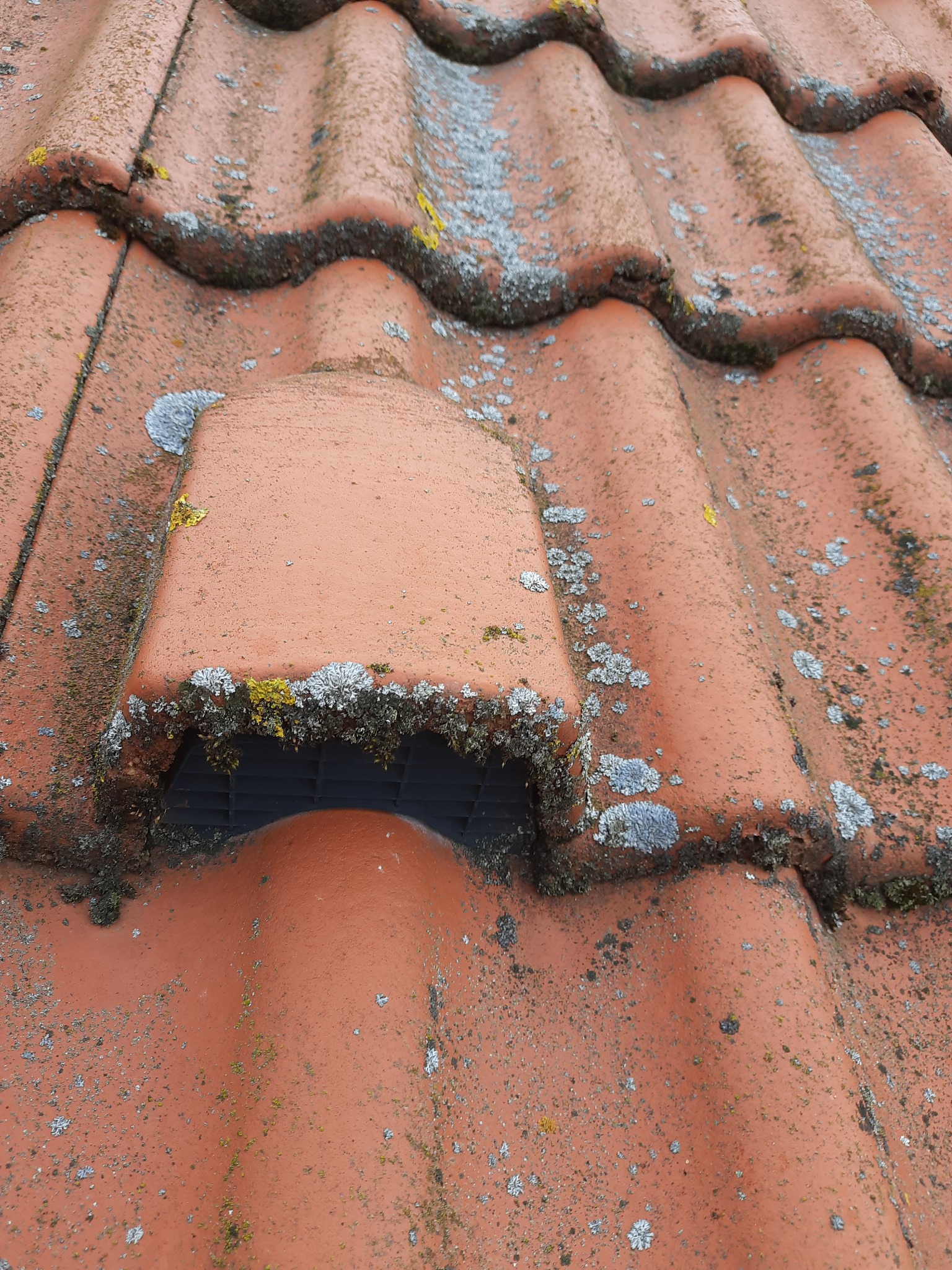 Dachówki cementowe po 16 latach, ostani moment na mycie, chemiczne odgrzybianie i impregnację hydrofobową