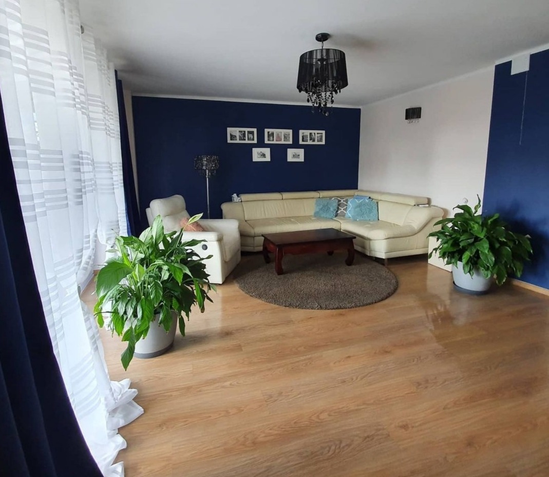 Salon z granatową ścianą, kremowym narożnikiem, okrągłym dywanem i roślinami w donicach, oświetlony czarnym żyrandolem i lampą podłogową.