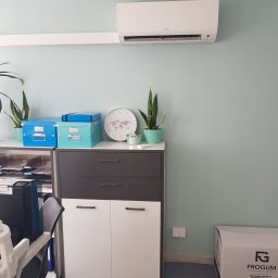 Komi International Michał Kowalski - Biały klimatyzator Daikin zamontowany na ścianie w biurze, pod nim szafka z dekoracjami i pudełko Frogum na podłodze.