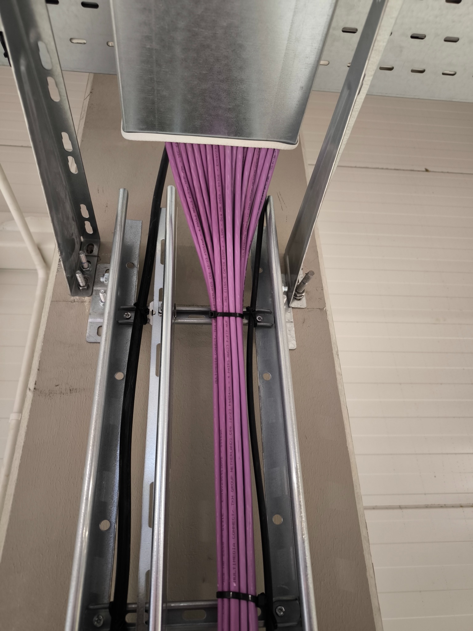 Pionowy widok na wiązkę fioletowych kabli ethernetowych uporządkowanych w metalowej korycie i na drabinkach kablowych, przymocowanych do ściany. Kable spięte czarnymi opaskami zaciskowymi.