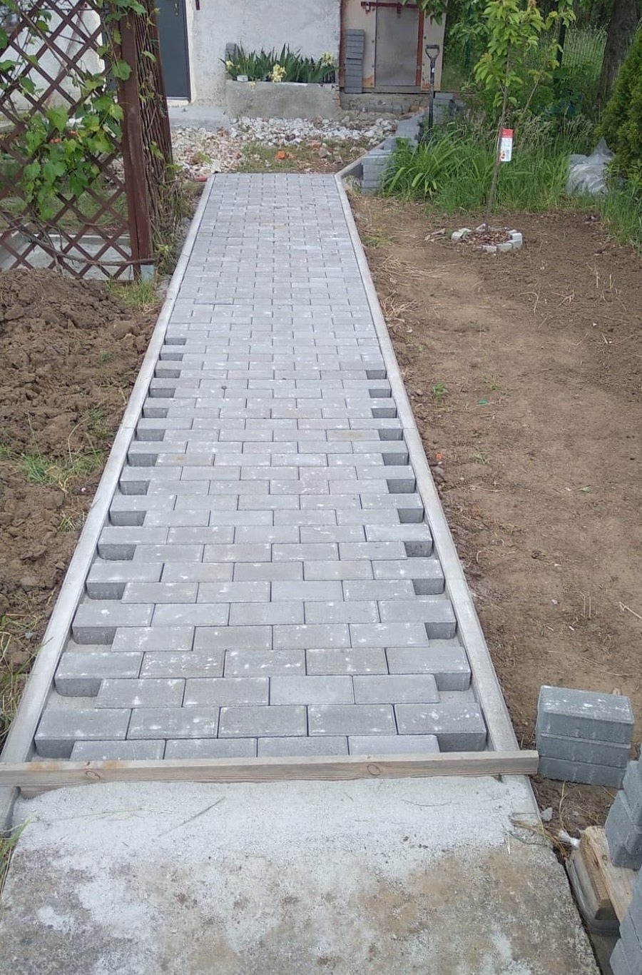 Ścieżka z szarej kostki brukowej w trakcie układania, widoczne przerwy między kostkami i fragmenty piasku, obrzeża betonowe, w tle dom i ogród w dzień.