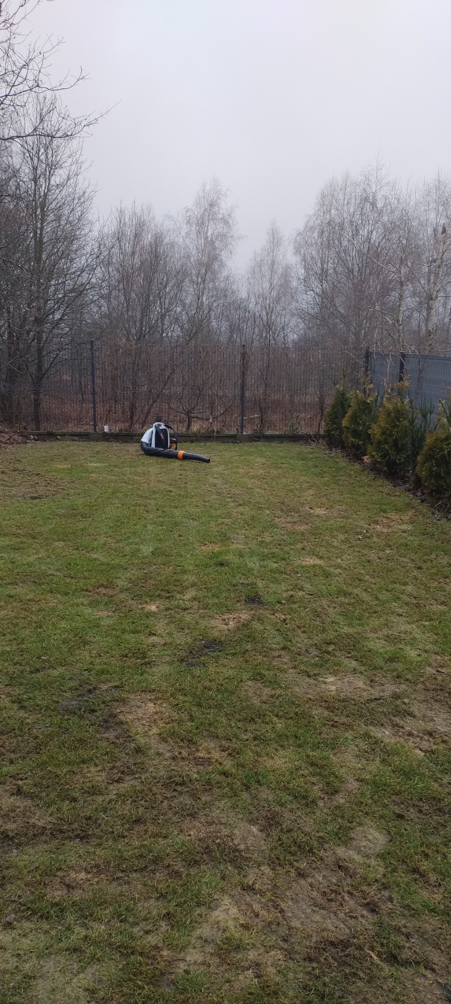 Spalinowy odkurzacz do liści spoczywa na trawniku w pochmurny dzień. Widoczne drzewa bez liści i fragment ogrodzenia.