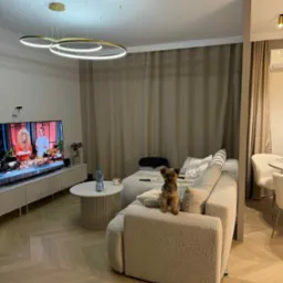 Jasne wnętrze salonu z parkietem w jodełkę. Na kanapie siedzi pies rasy Yorkshire Terrier. Nad sofą wiszą nowoczesne, okrągłe lampy.