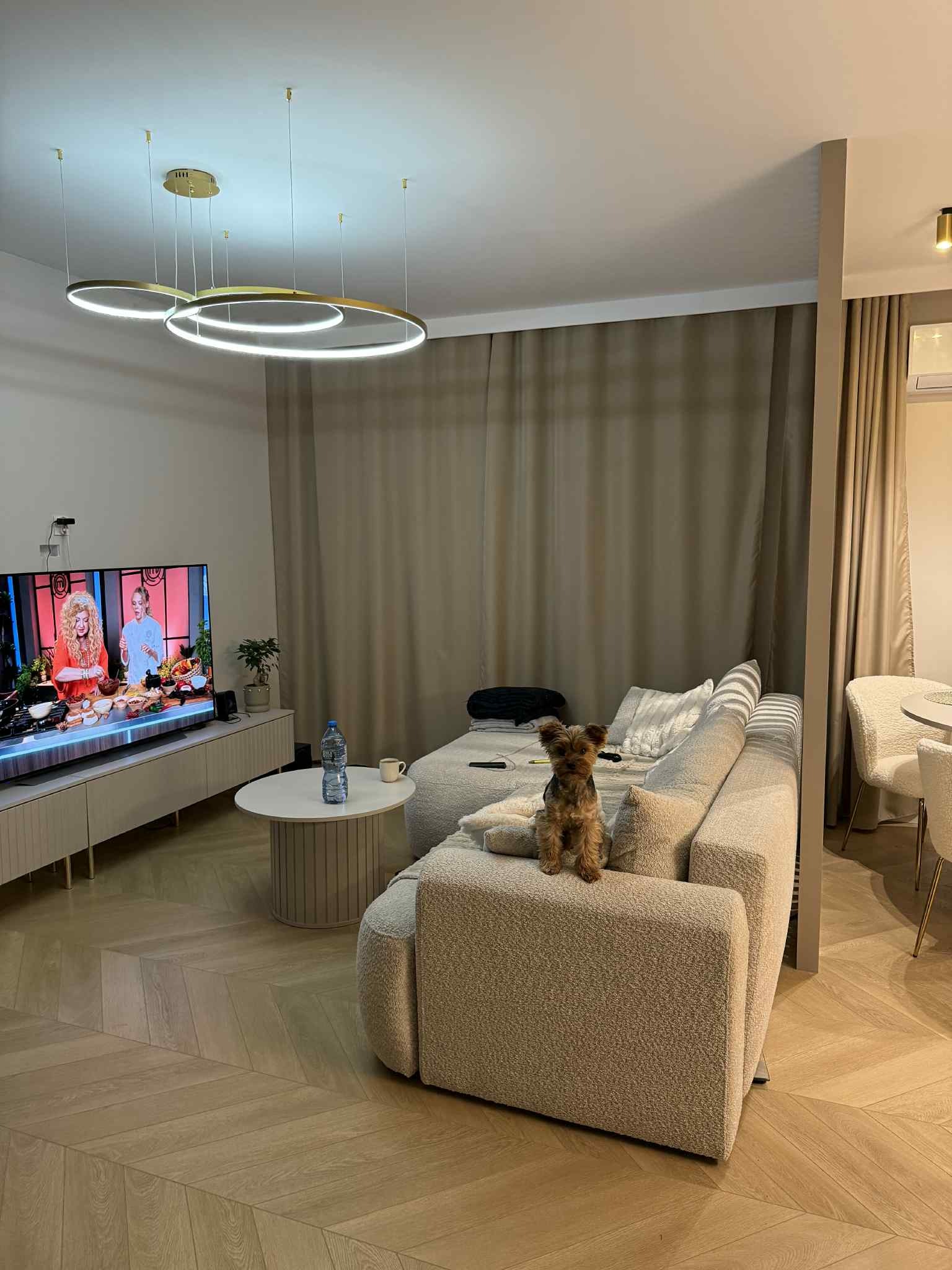 Jasne wnętrze salonu z parkietem w jodełkę. Na kanapie siedzi pies rasy Yorkshire Terrier. Nad sofą wiszą nowoczesne, okrągłe lampy.