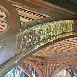 Prace wysokościowe Wałbrzych