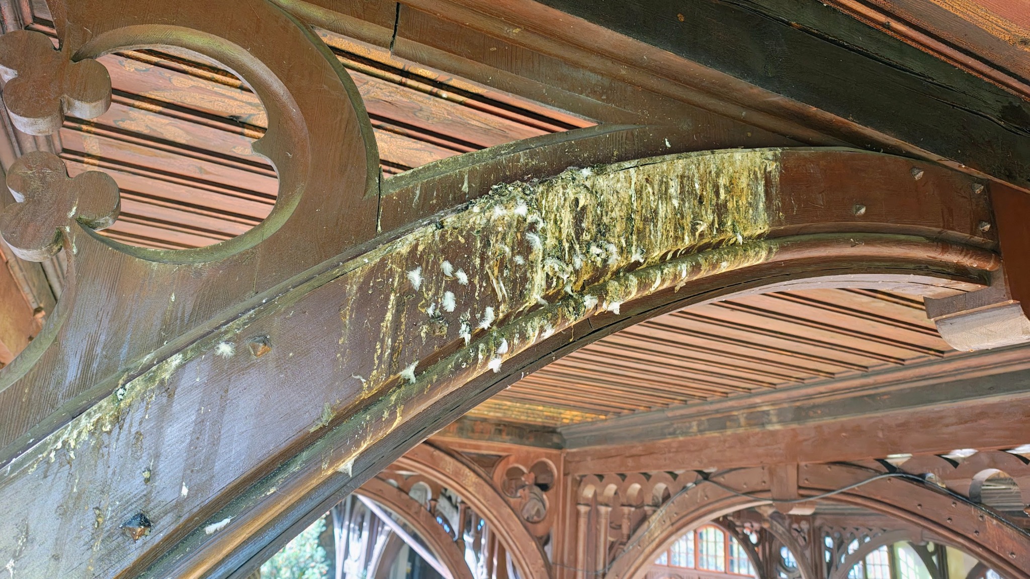 Zabrudzona ptasimi odchodami drewniana konstrukcja altany z dekoracyjnymi wycięciami, widok z dołu. Widoczne pióra i zanieczyszczenia na brązowym drewnie.