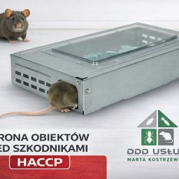 Dezynsekcja i deratyzacja Wilkołaz 2