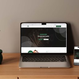 Tworzenie stron internetowych Katowice 4