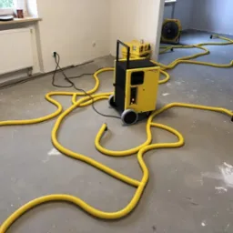 Żółty osuszacz kondensacyjny Trotec na kółkach z podłączonymi długimi, żółtymi wężami na betonowej podłodze, w tle widoczne dodatkowe urządzenia i grzejnik pod oknem.