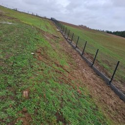 Wycinka drzew Gorzów Wielkopolski 3