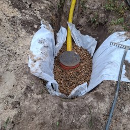 Wycinka drzew Gorzów Wielkopolski 4