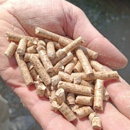 Transport busem Krzyżowa 1