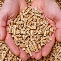 Transport busem Krzyżowa 2