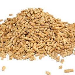 Transport busem Krzyżowa 3