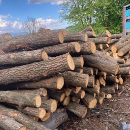 Drewno kominkowe Olszówka 3