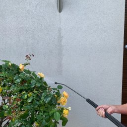 KONKRET Tomasz Augustyniak - Czyszczenie elewacji domu z szarego tynku za pomocą myjki ciśnieniowej, widoczny fragment ściany po czyszczeniu i róże w krzaku.