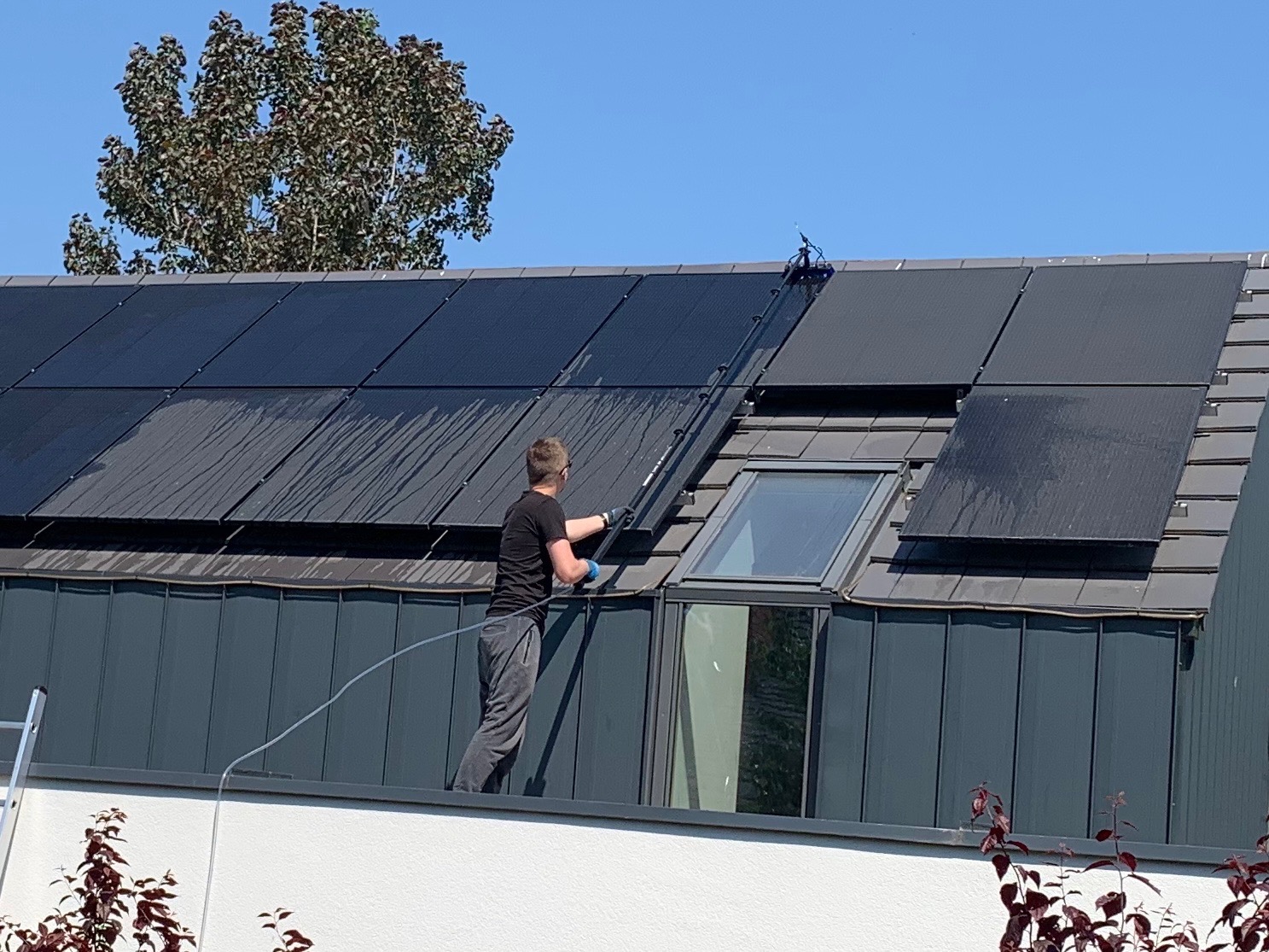 Mężczyzna w czarnej koszulce i szarych spodniach, z użyciem teleskopowego kija z szczotką, czyści panele słoneczne na dachu domu z szarą blachą trapezową i oknem dachowym.