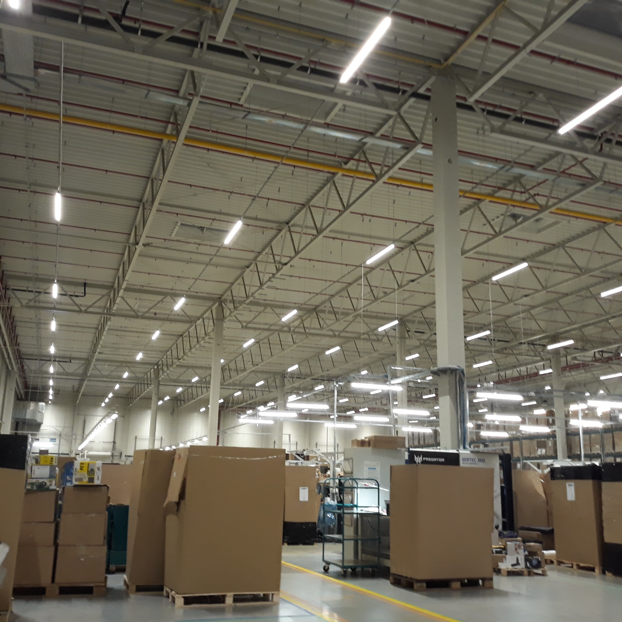 Wnętrze hali magazynowej z widocznymi rzędami lamp jarzeniowych pod sufitem, konstrukcją wsporczą dachu i zapakowanymi towarami w kartonach na paletach.