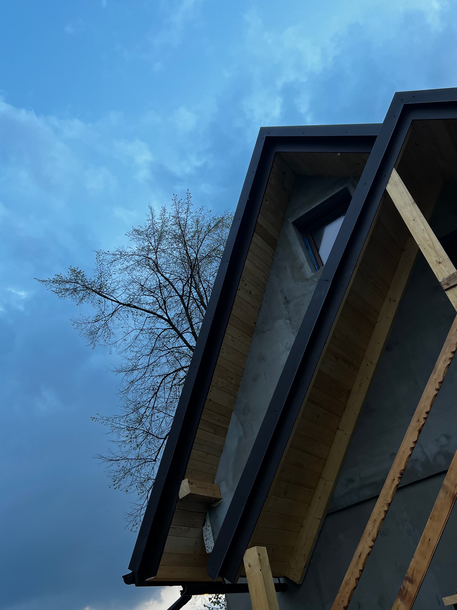 Nisko kątowe ujęcie nowo budowanego dachu z drewnianą konstrukcją, szarym tynkiem i czarnym wykończeniem na tle pochmurnego nieba, widoczny fragment drzewa.