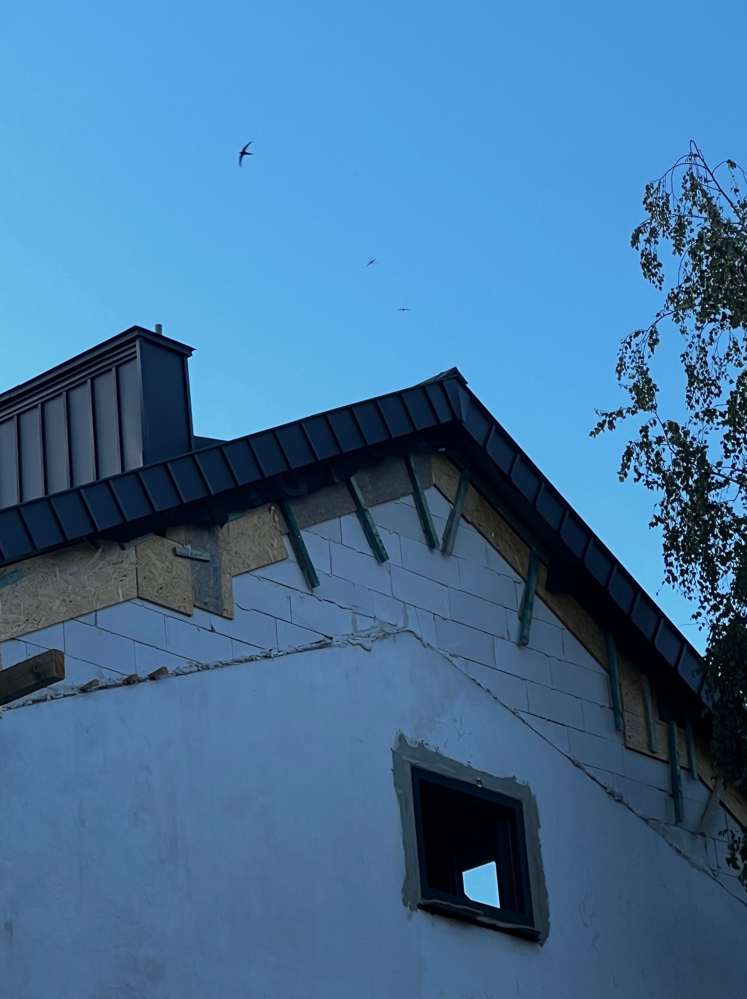 Dom w trakcie budowy z widocznym dachem z blachy, oknem bez szyby, elementami ocieplenia i ptakami na tle błękitnego nieba.