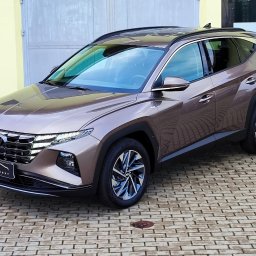 Krashevsky Auto Spa - Brązowy Hyundai Tucson po detailingu, widoczny na kostce brukowej przed garażem, z logo Krashevsky Auto Spa na tablicy rejestracyjnej.