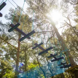 Widok z dołu na park linowy z drewnianymi przeszkodami w kształcie krzyży zawieszonymi na linach, drzewa w tle, słoneczne oświetlenie.