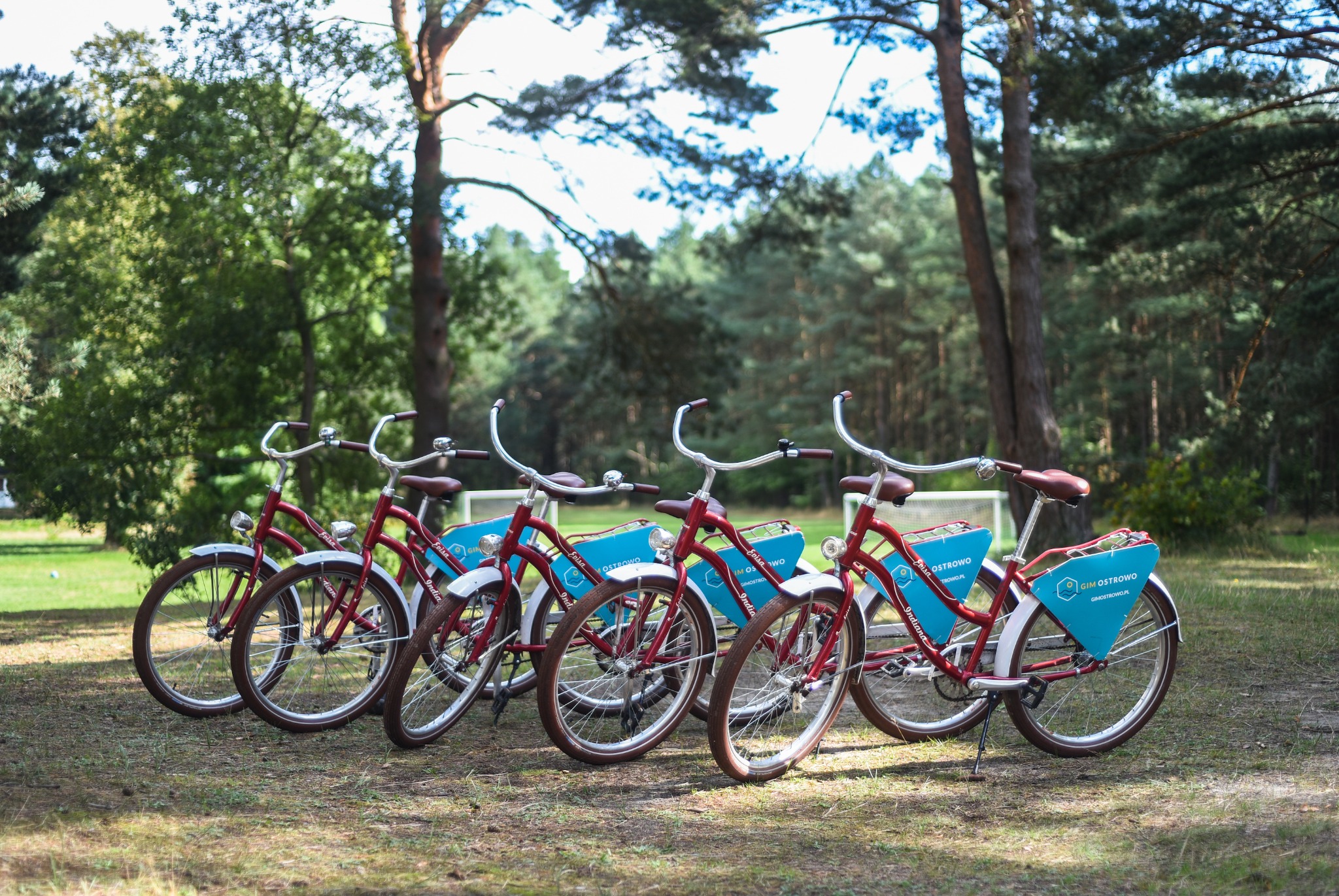 Rząd czerwonych rowerów z logo 'Gim Ostrowo' zaparkowanych na trawie w ośrodku wypoczynkowym, w tle drzewa i siatka do gry w piłkę.