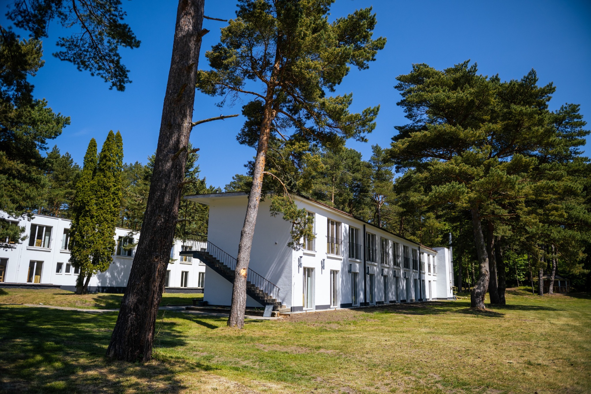 Biały budynek ośrodka kolonijnego z zewnętrznymi schodami, otoczony sosnowym lasem i zielonym trawnikiem w słoneczny dzień.