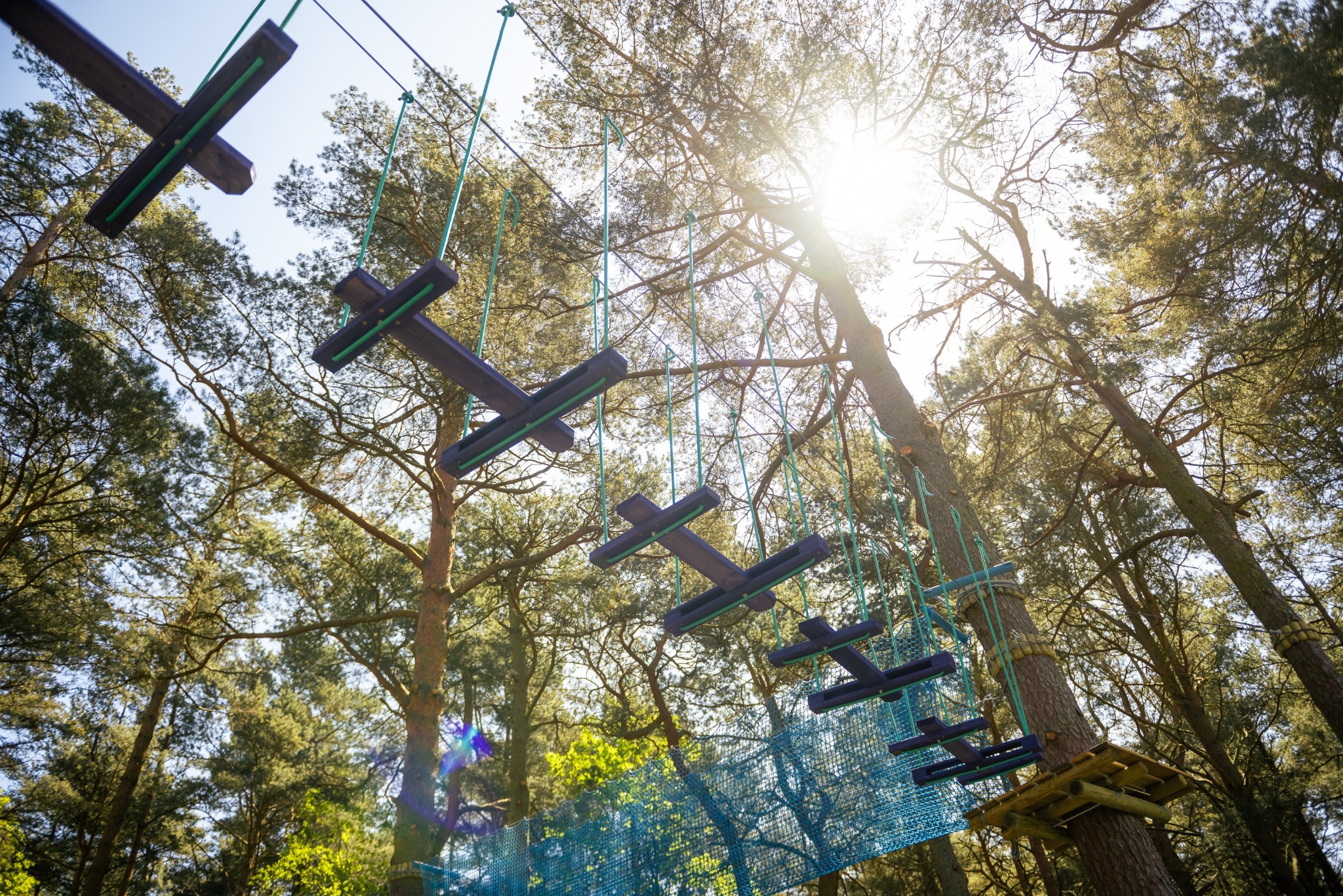 Widok z dołu na park linowy z drewnianymi przeszkodami w kształcie krzyży zawieszonymi na linach, drzewa w tle, słoneczne oświetlenie.
