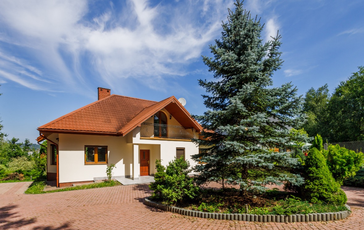 Jasny dom jednorodzinny z czerwoną dachówką, balkonem i dużym świerkiem srebrnym na pierwszym planie, widok z poziomu brukowanego podjazdu.