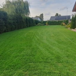 Transport busem Policzna 2