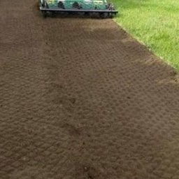 Transport busem Policzna 3