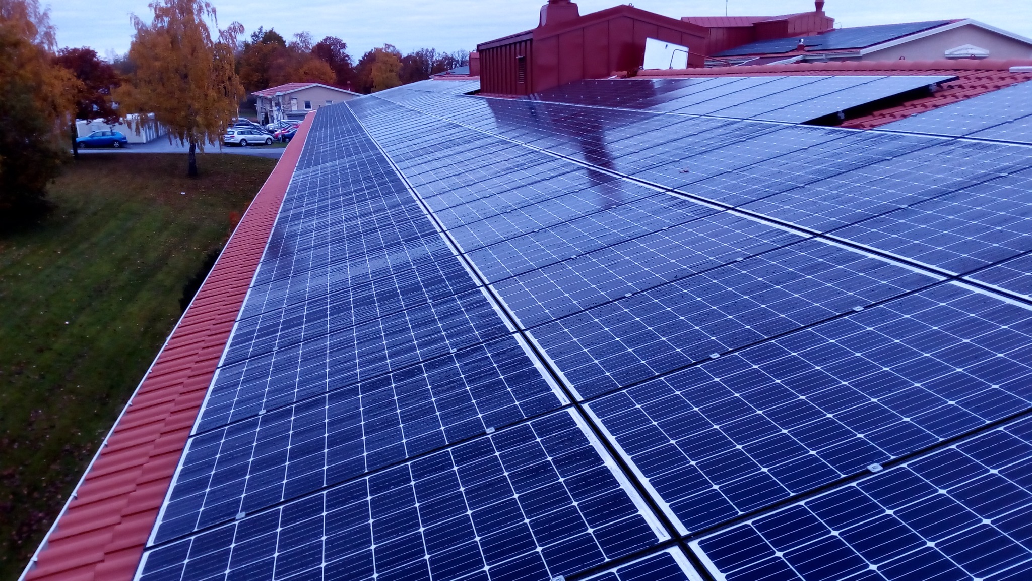 Rząd paneli słonecznych na czerwonym dachu domu jednorodzinnego, widoczne krople deszczu na panelach, drzewa w tle.