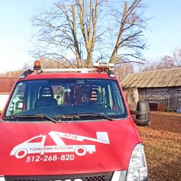 Wycinka drzew Iły 4