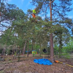 Wycinka drzew Iły 2