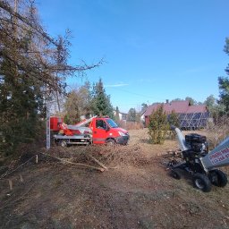 Wycinka drzew Iły 1