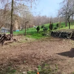 Teren po wycince drzew z ułożonymi gałęziami i rozdrabniarką do gałęzi, widoczne schody kamienne i trawa z zielenią w tle.