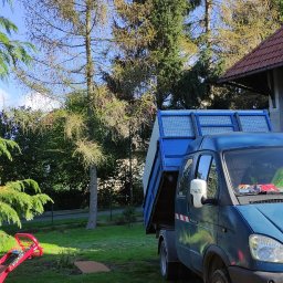 Drzewołazik Usługi Ogrodnicze Bartosz Nawojczyk - Niebieski samochód ciężarowy z otwartą skrzynią ładunkową stoi na trawniku przed domem z drzewami w tle, prawdopodobnie po wycince gałęzi.