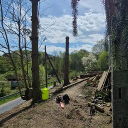 Wycinka drzew Złotoryja 2